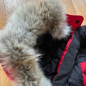 Canada Goose Grizzly Snowsuit